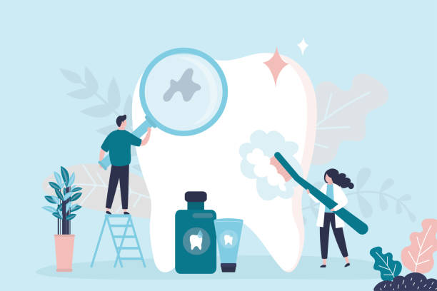 Rantoul, IL Holistic Dental Care Services Company